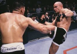 Bas Rutten MMA