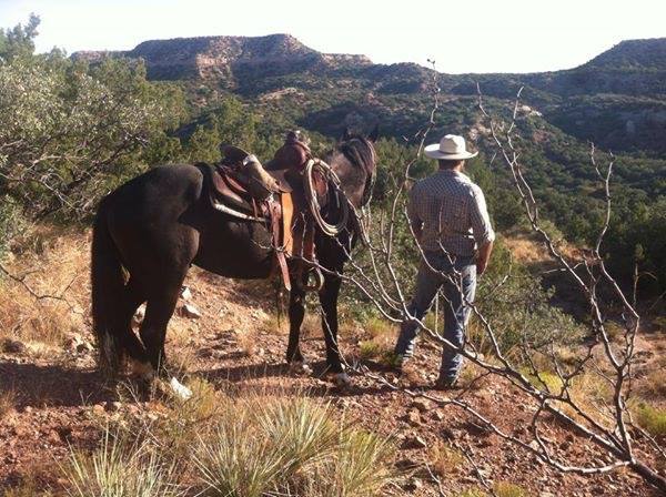 Matt Litrell The Long Trail Home